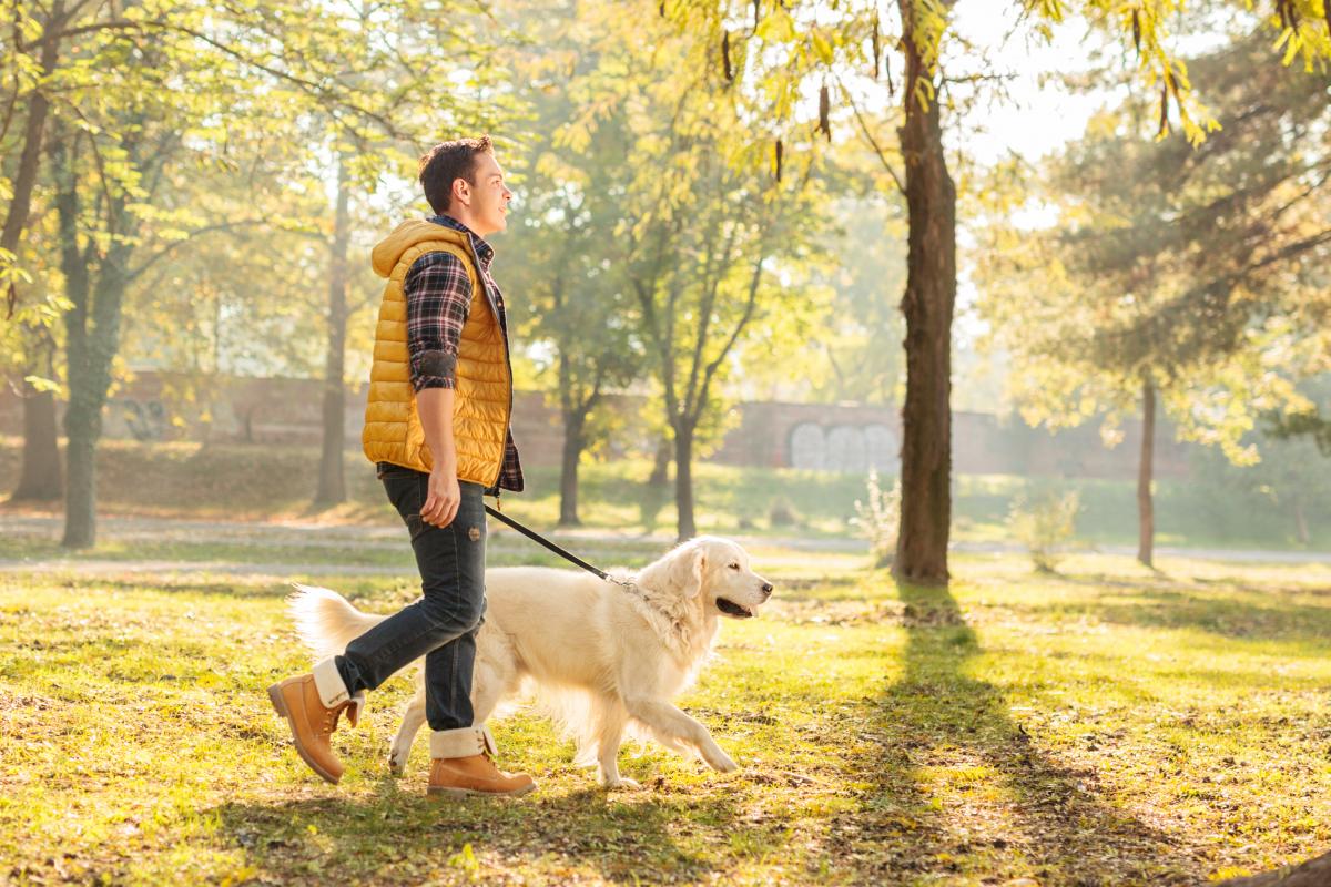 Young man walking his dog on a trail