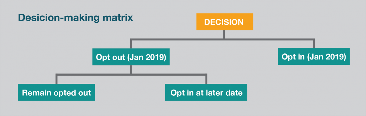  Opt-in (January 2019) or Opt-out (January 2019), with further options after January to remain opted out, or opt in at a later date