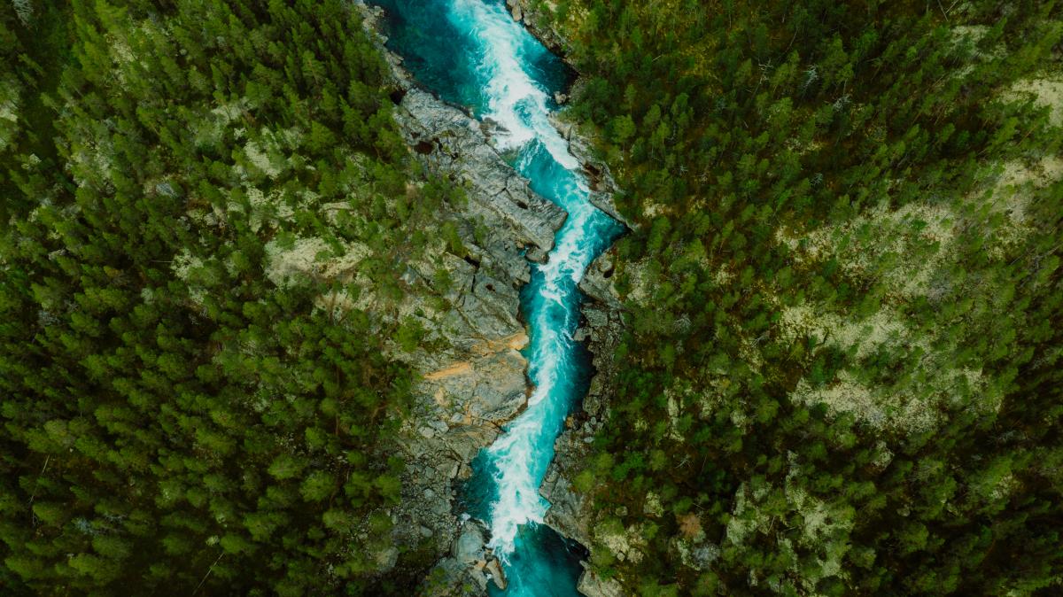 An overhead shot of a river running through a forest.