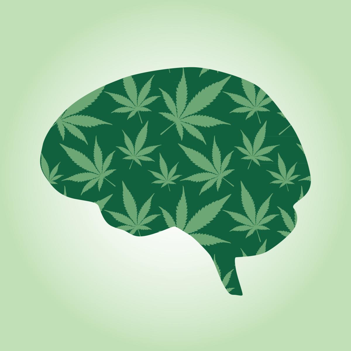 A concept image of a brain with cannabis leaves inside
