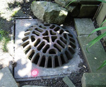 Catch basin, round hump shaped with holes for water.