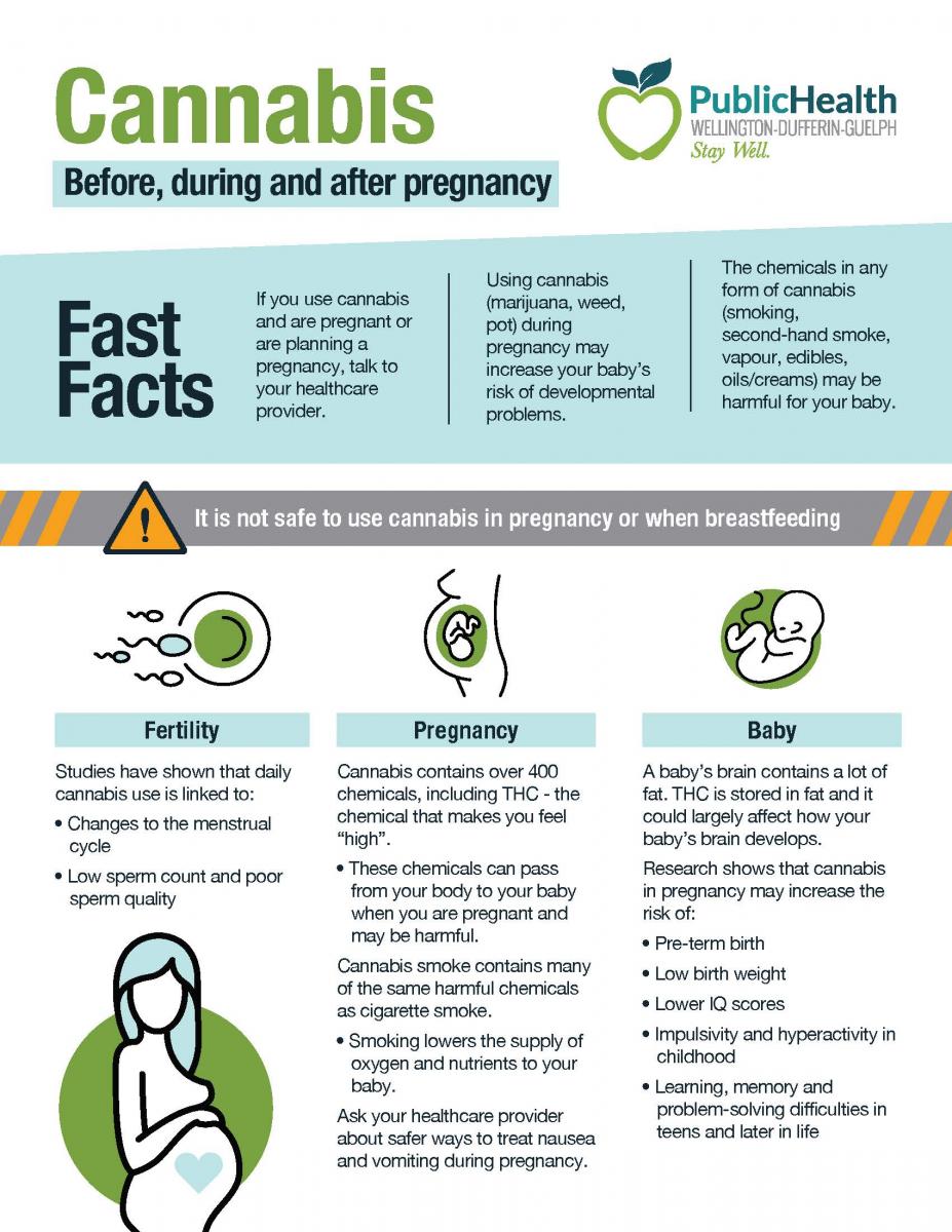 Cannabis and pregnancy fact sheet page 1