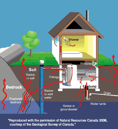 Top 5 Best Radon Detectors for Your Home in 2023 