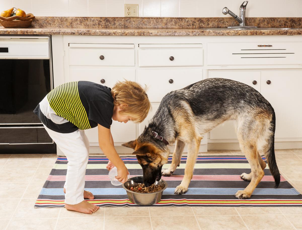 20-foods-you-should-never-share-with-your-dog-to-keep-them-safe