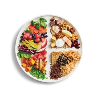 A visual representation of the food guide showing half the plate of fruits and vegetables; one-quarter protein-rich foods and one-quarter grains.