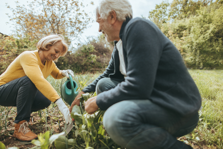 Two seniors gardening together