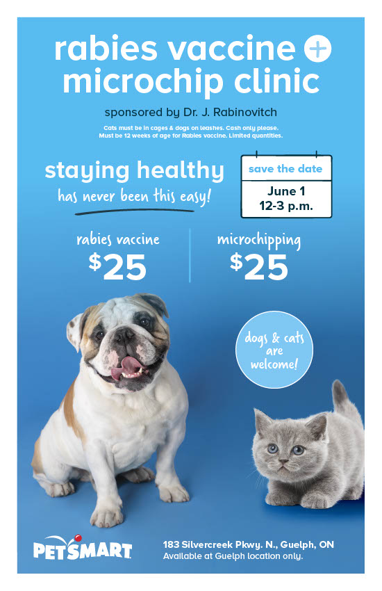 Petsmart 2024 vaccines cat