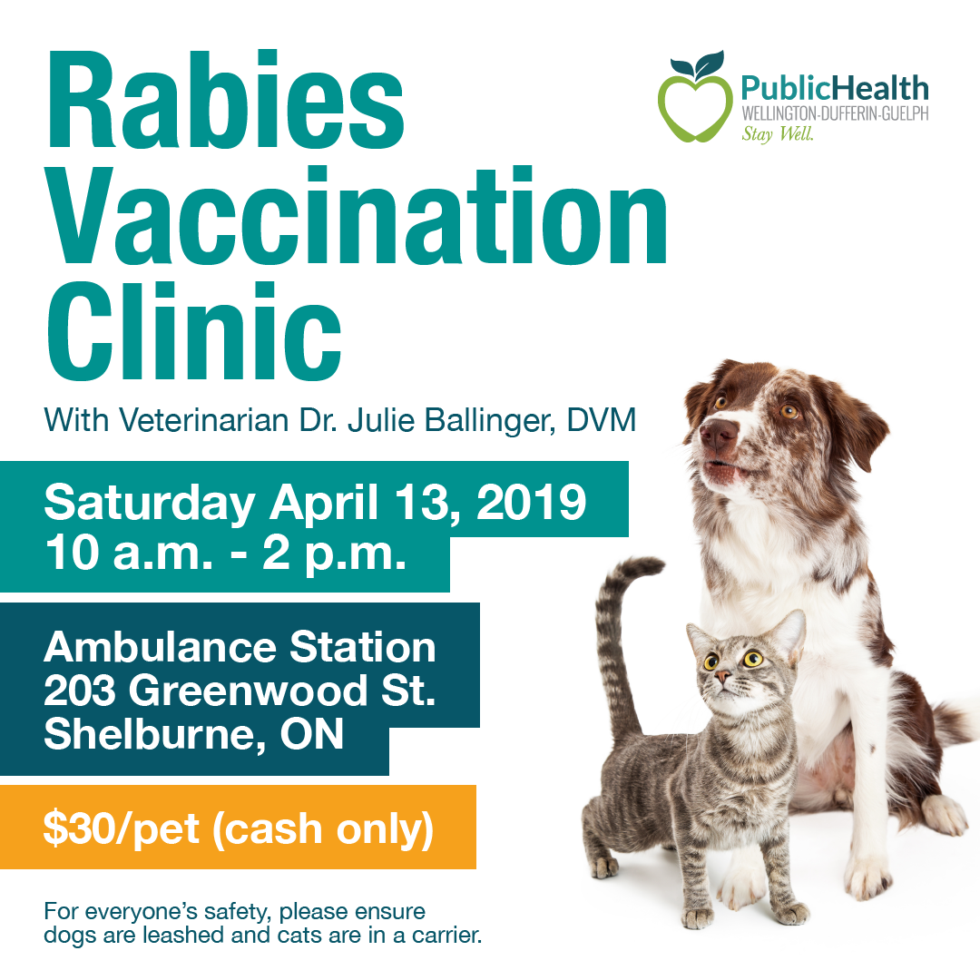 Cat and a dog illustrate the rabies vaccination clinic information poster
