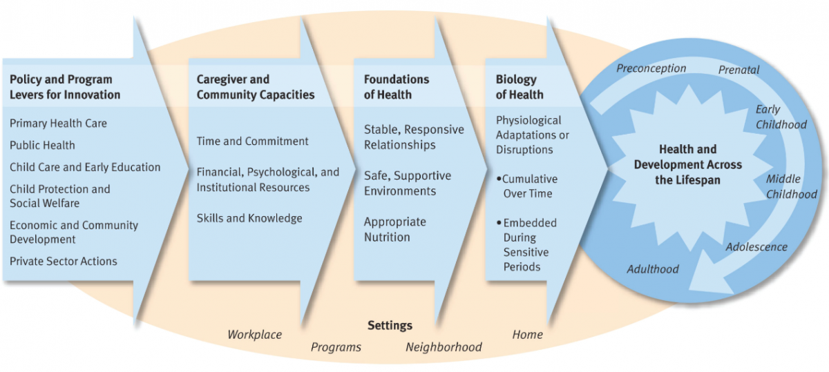 Framework diagram showing 4 overlapping domains in which physical and mental well-being can be improved across the life course, leading to health and development across the lifespan. Description below image.