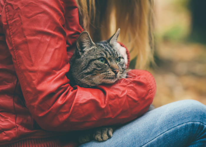 Girl holding cat