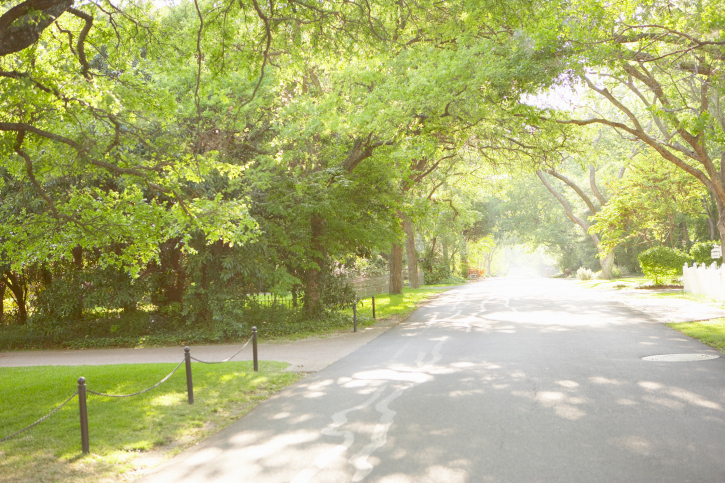 Residential street, no sidewalks