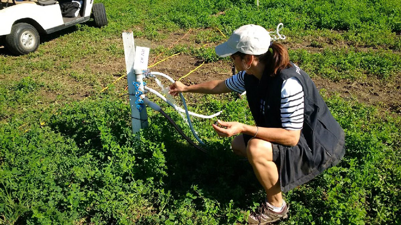 Inspector testing water