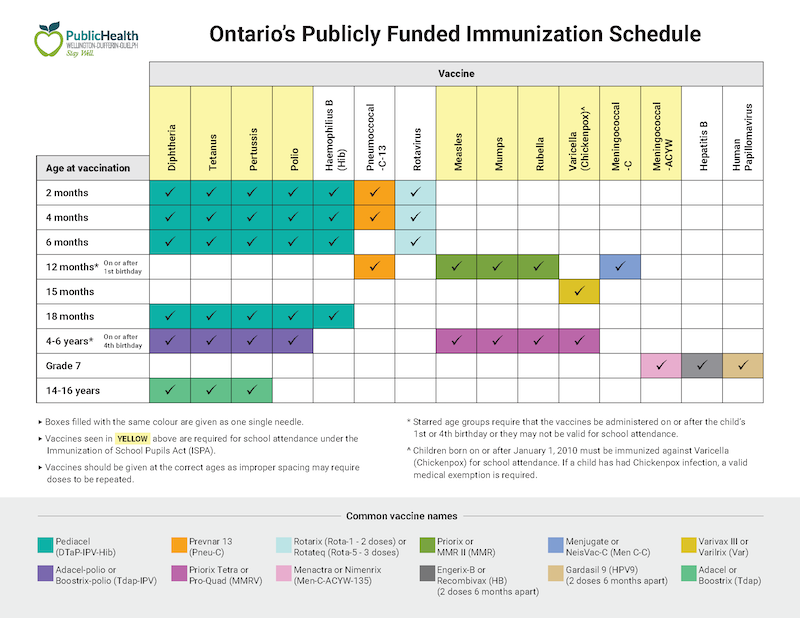 getting-back-on-track-with-school-immunizations-wdg-public-health