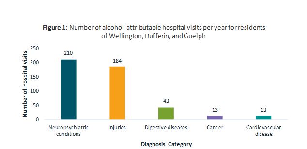 Bar graph showing number of alcohol-atrributed hospital visits per year for residents of WDG, Figure 1 Mar 02 2016, R04