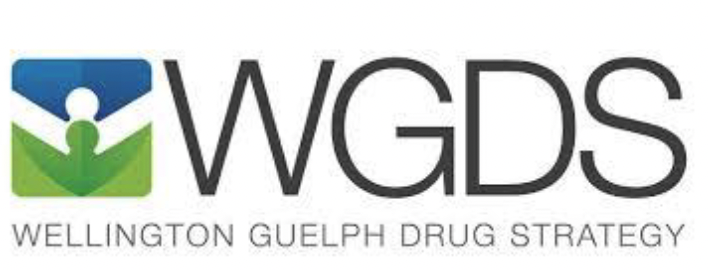 Drug strategy logo