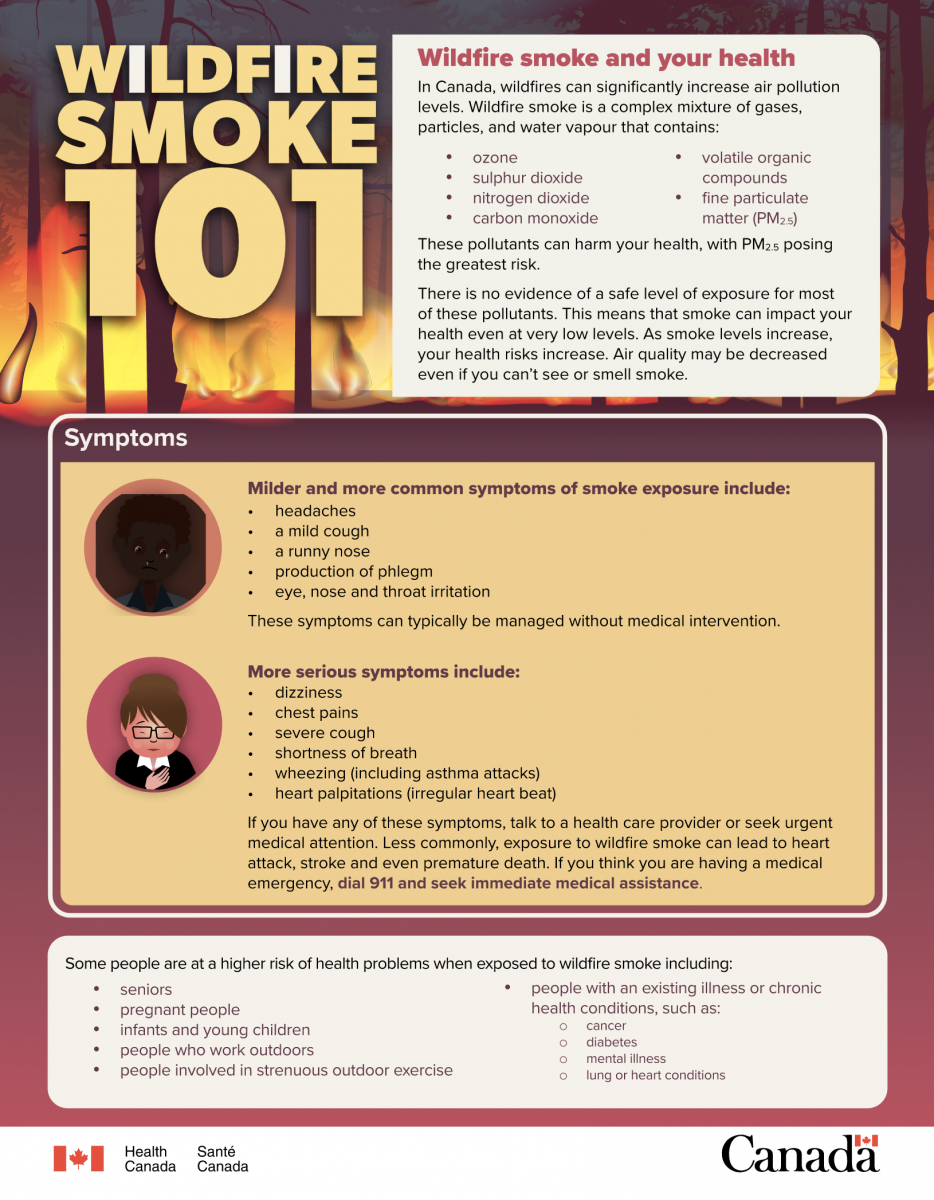 Health Canada's Wildfire smoke 101 screenshot, link to pdf in text