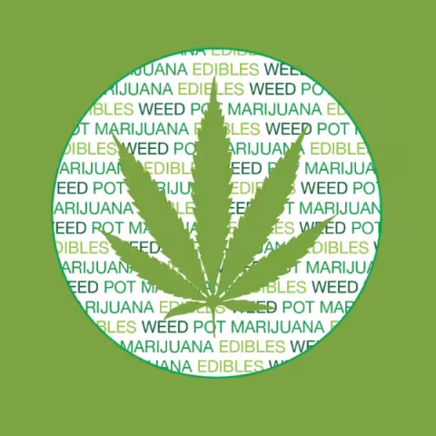 Cannabis Survey Banner Image