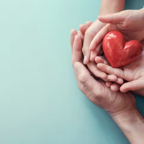 Hands holding Heart