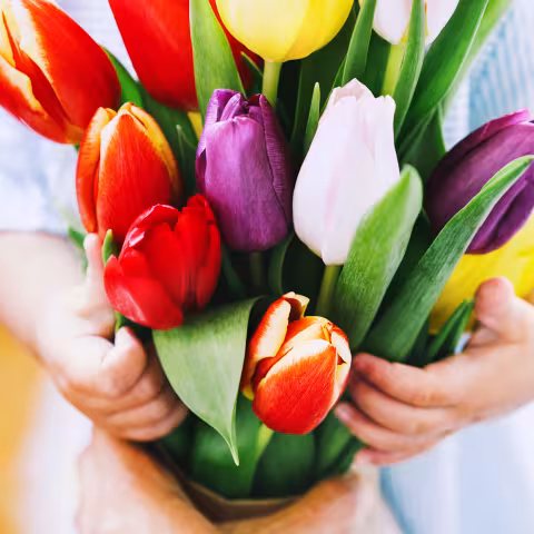bouquet of tulips in the arms of a child