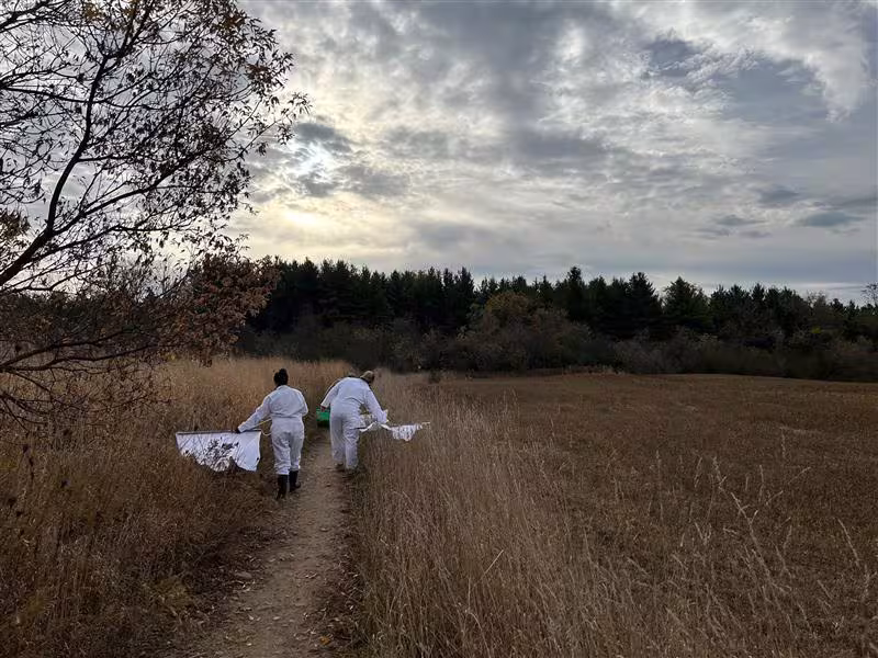 Tick dragging by Public Health