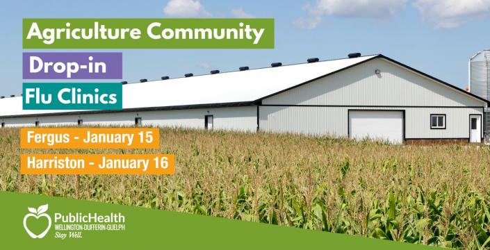 Image of large industrial chicken barn. Overlaid text reads: Agriculture community drop-in flu clinics. Fergus January 15 and Harriston January 16. WDG Public Health logo is on the bottom left corner.