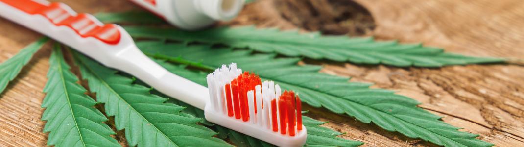 Toothbrush and toothpaste beside a cannabis leaf