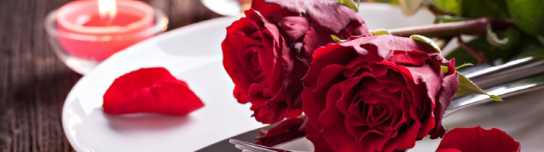 Red Roses resting on a white plate