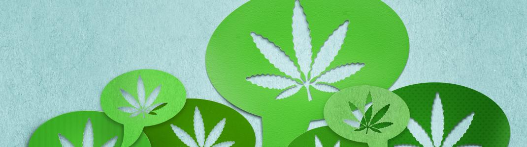Graphic of multiple green speech bubbles with a cannabis leaf in each of them