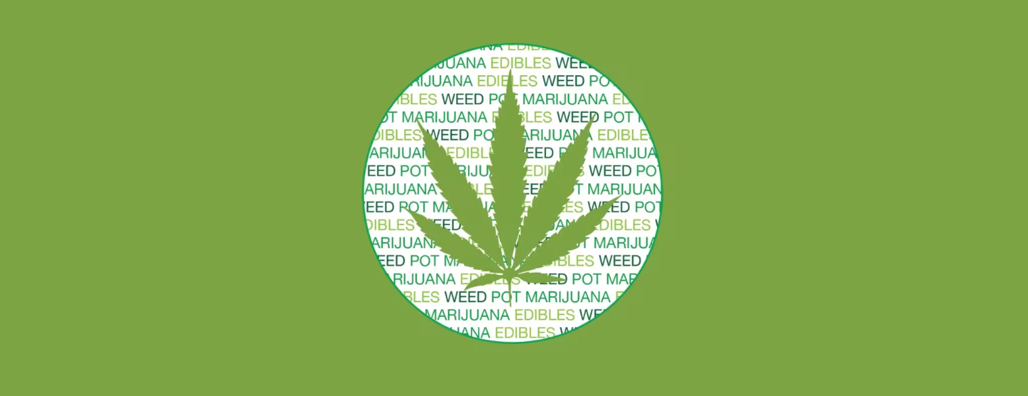 Cannabis Survey Banner Image