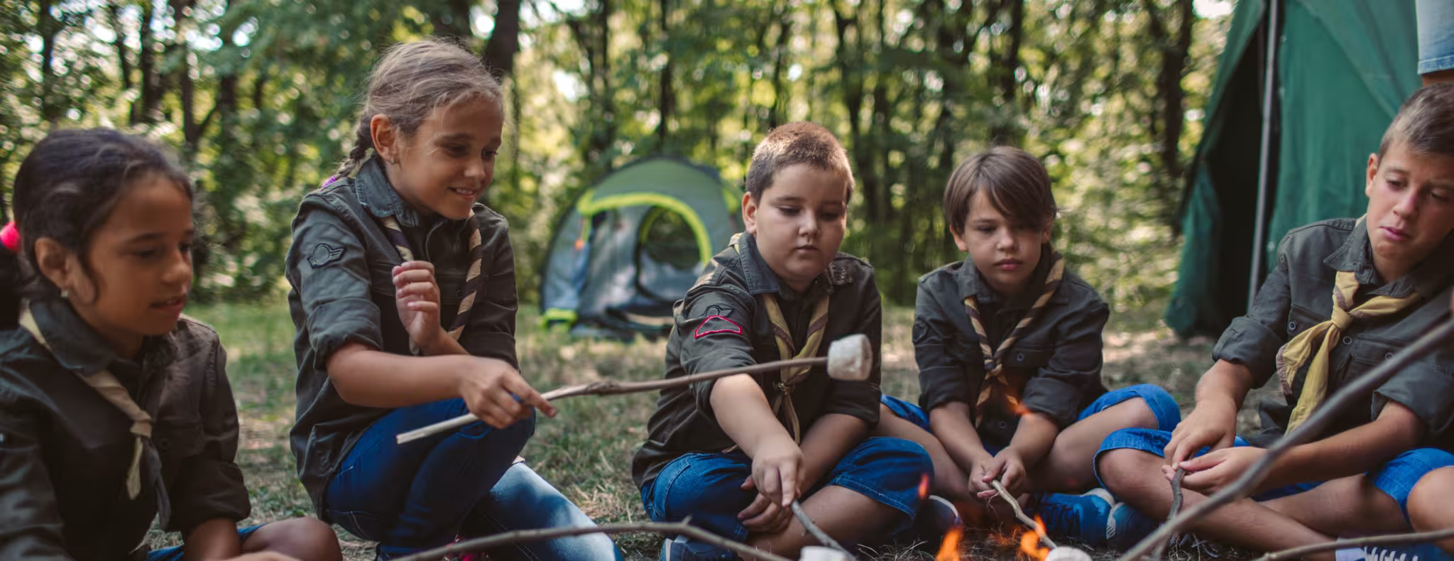 Group Of Scouts Roast Marshmallow Candies On Campfire In Forest