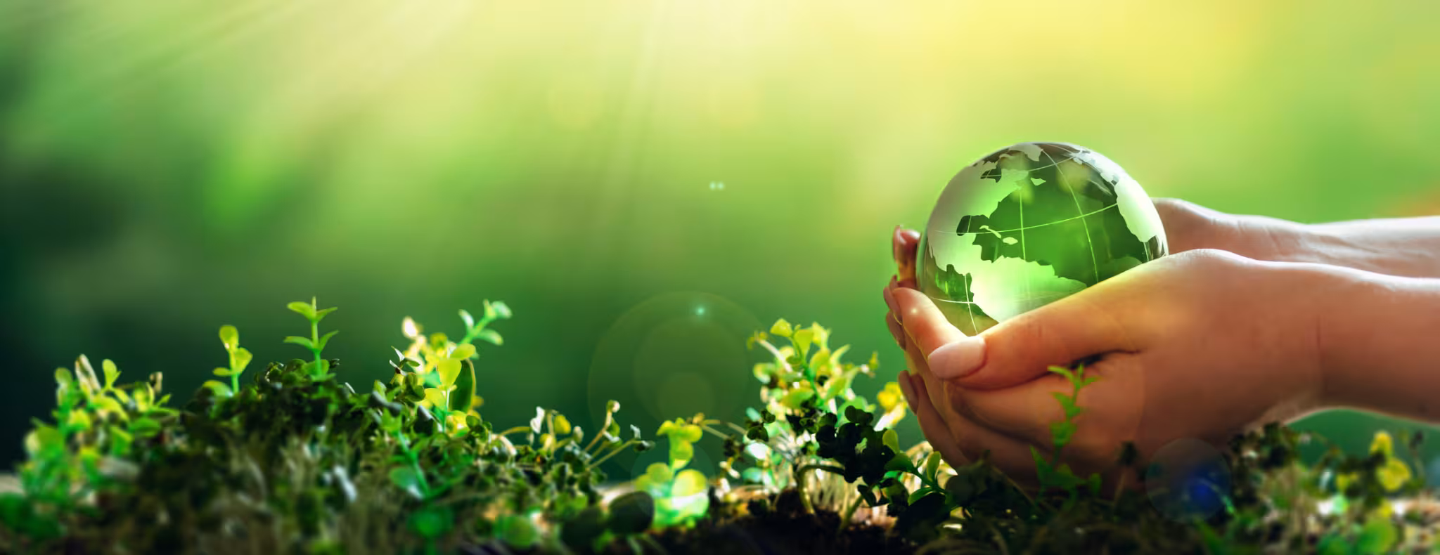Hand holding crystal earth globe