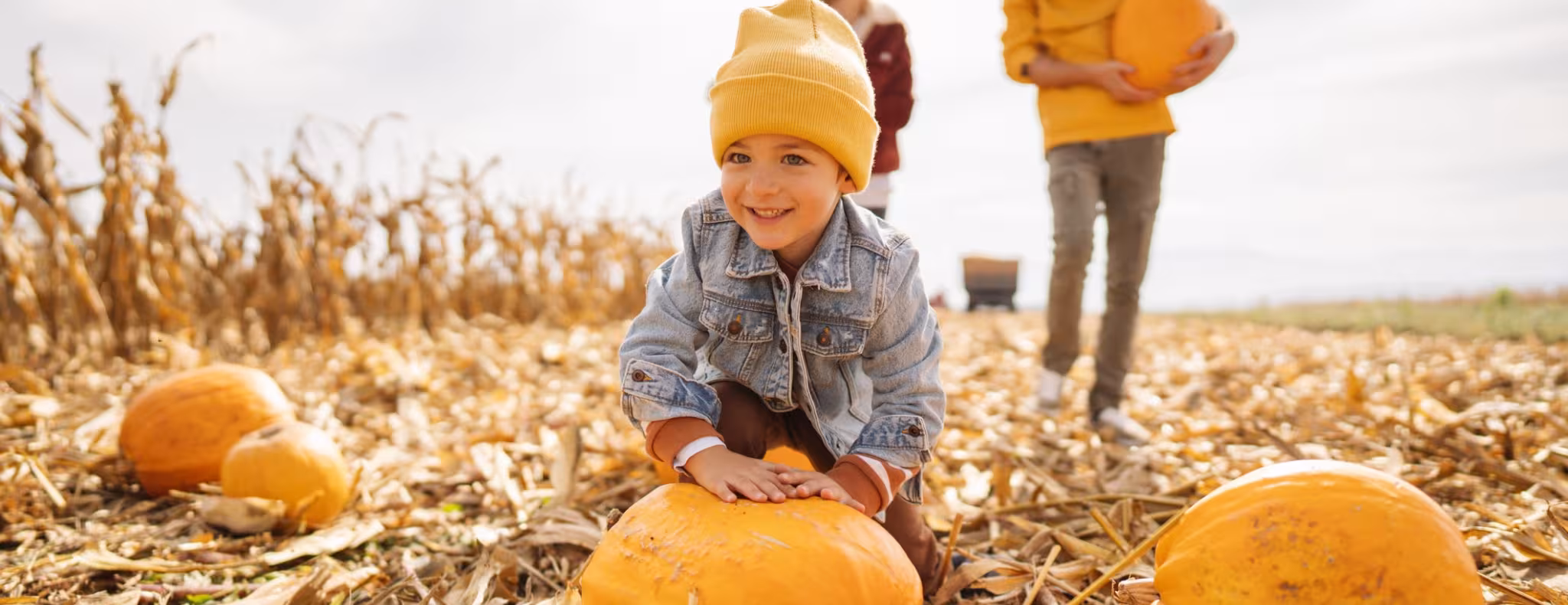 young boy in pumpkin patch with family