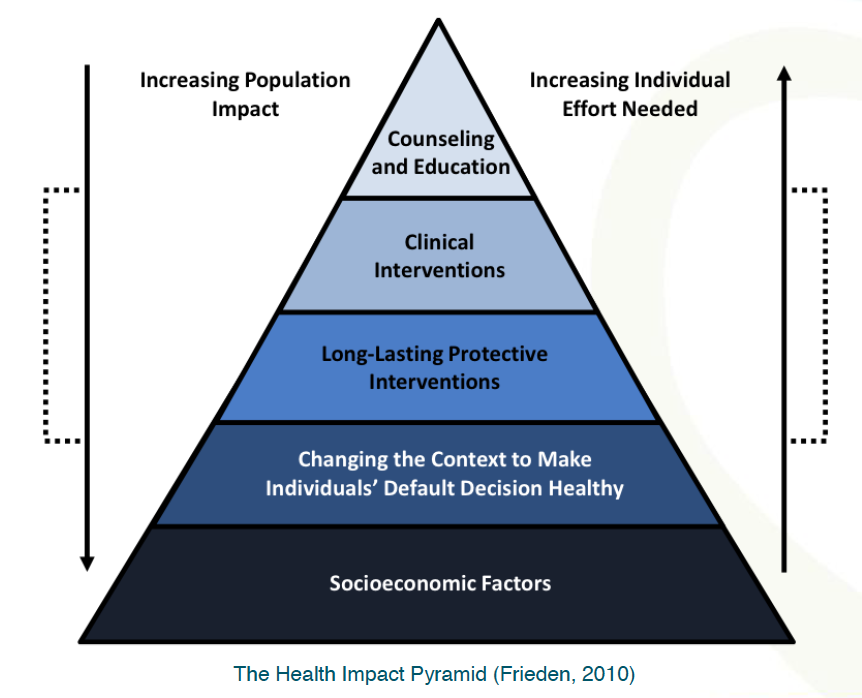 Diagram of The Health Impact Pyramid (Frieden, 2010)